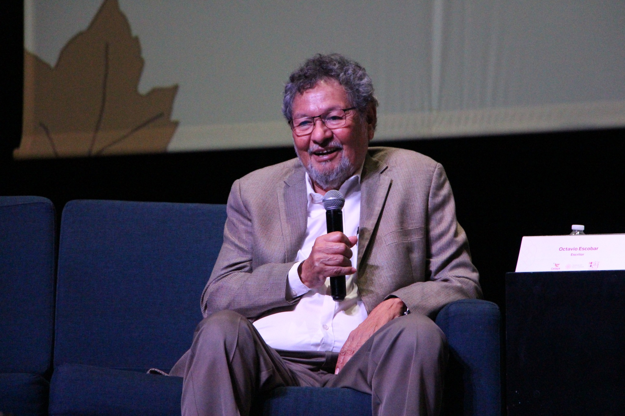 Foto: Instituto de Arte y Cultura de Celaya